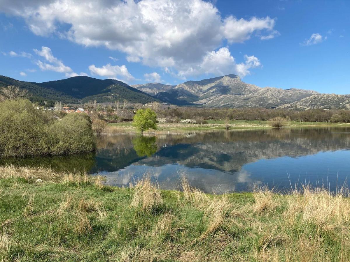 Los Cedros, Gran Chalet Con Piscina Y Apartamento En Navacerrada Vila Exterior foto