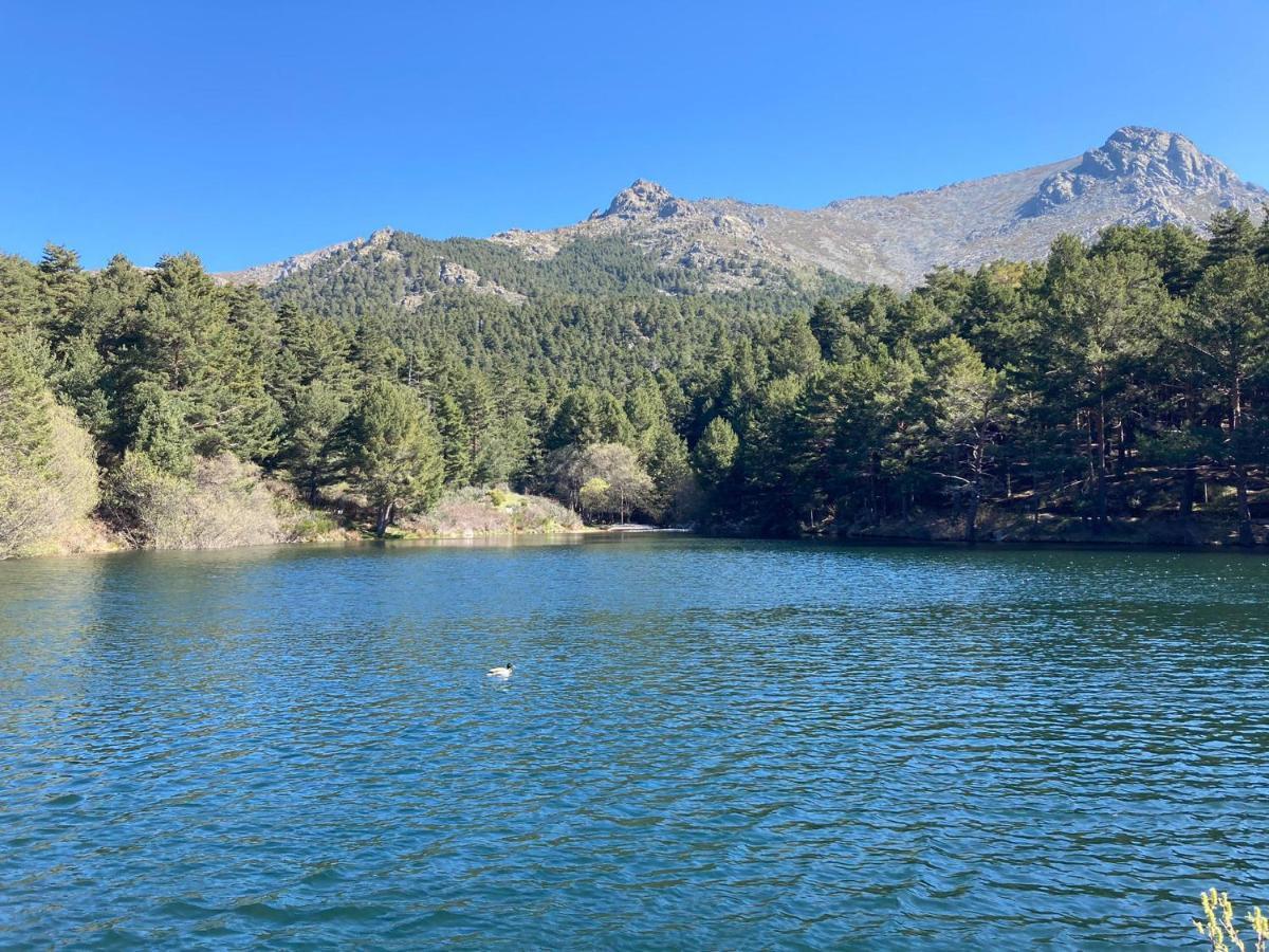 Los Cedros, Gran Chalet Con Piscina Y Apartamento En Navacerrada Vila Exterior foto