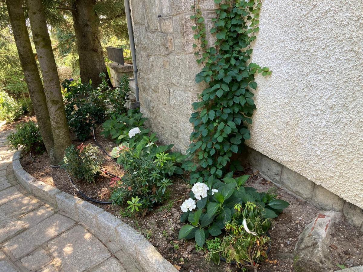 Los Cedros, Gran Chalet Con Piscina Y Apartamento En Navacerrada Exterior foto
